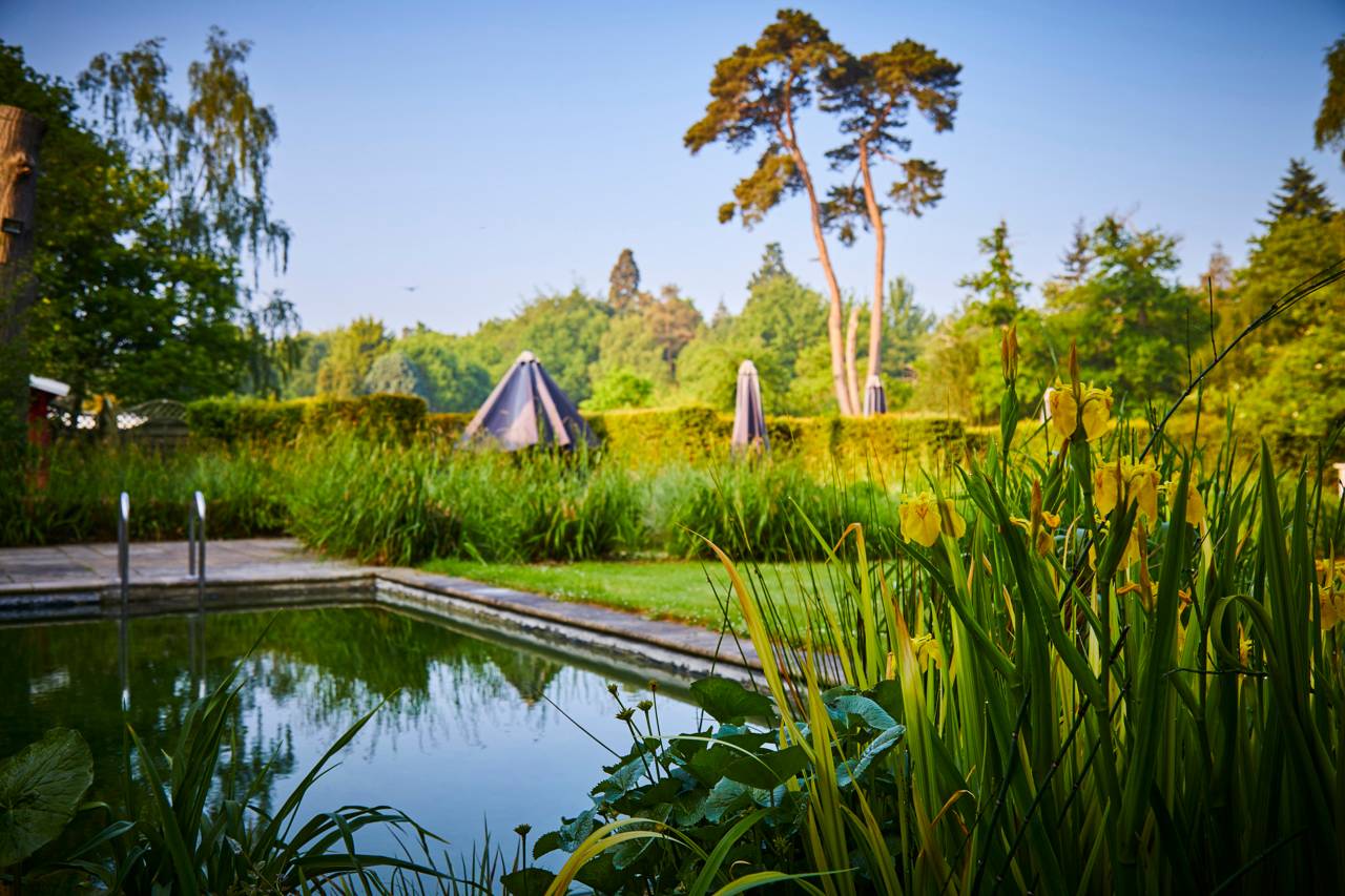 Spa Garden